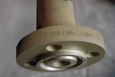 Long Welding Neck Flange (CL-300-1-INCH)