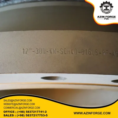 فلنج جوشی CL-300-RF-(12")